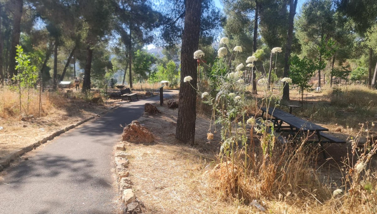 שביל הליכה בירושלים