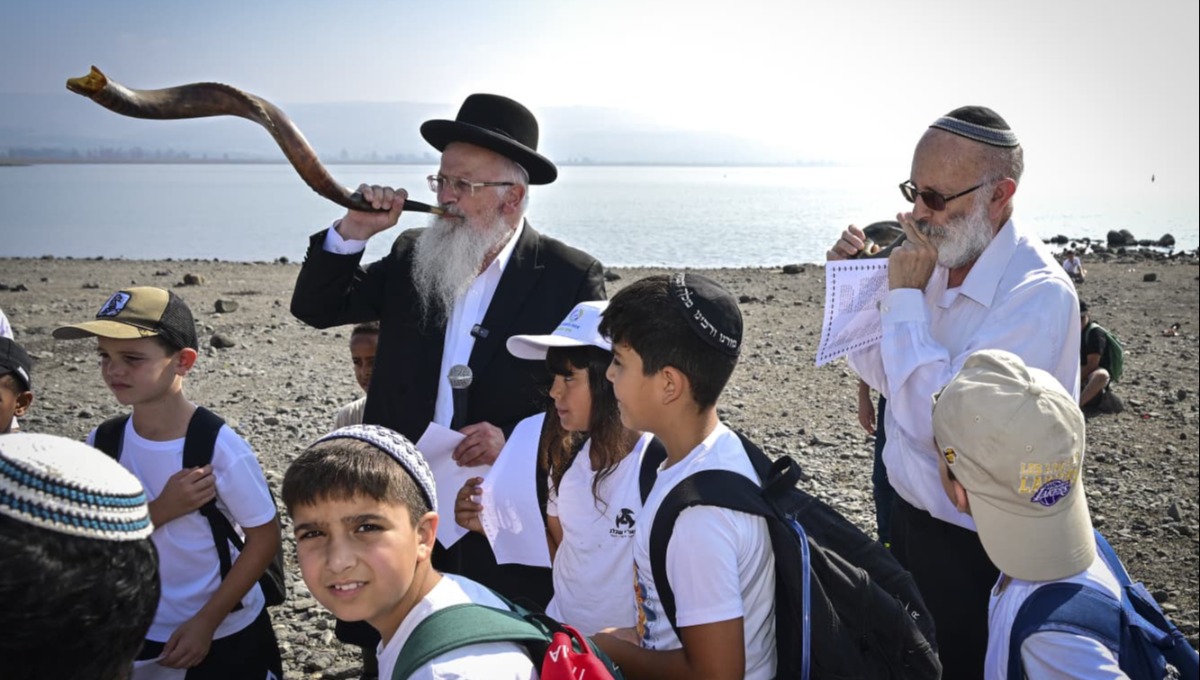 הכנרת