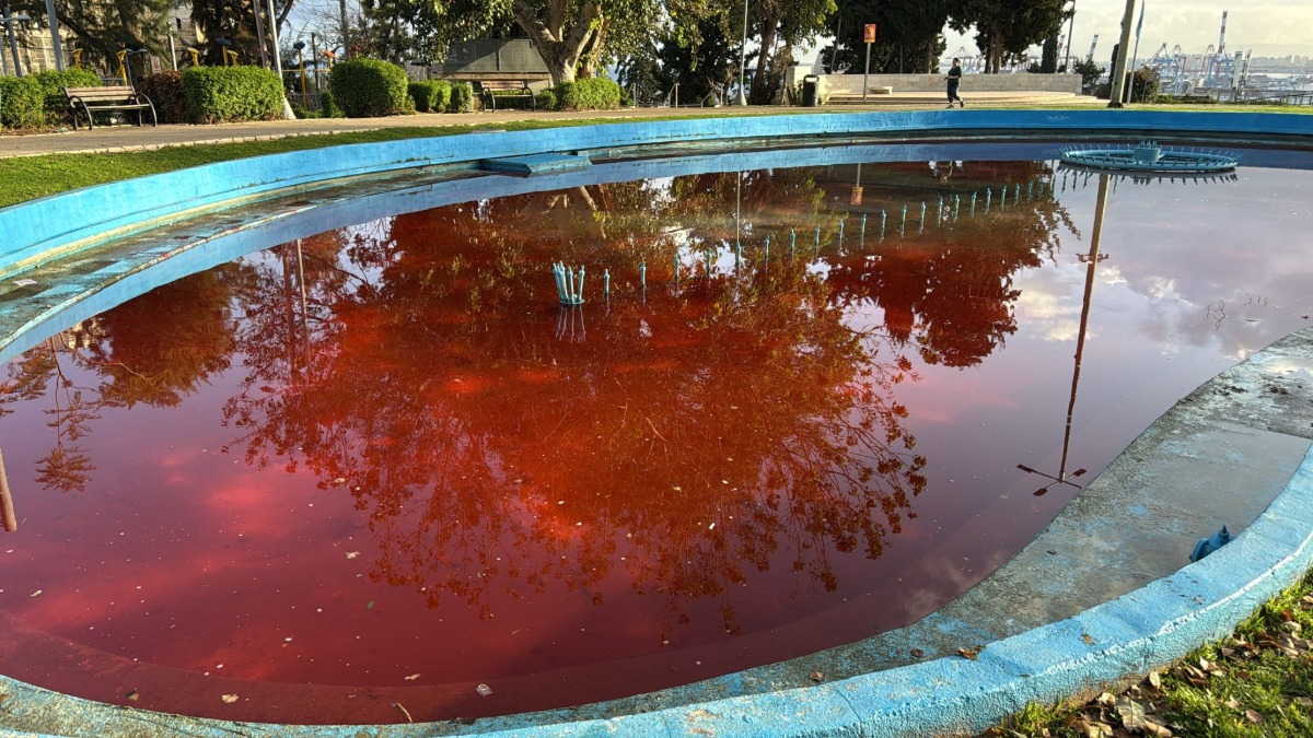 המזרקה בחיפה