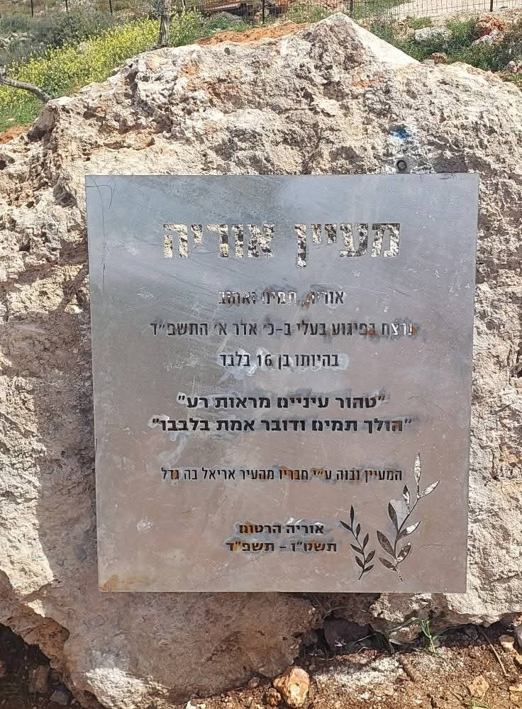 מעיין אוריה