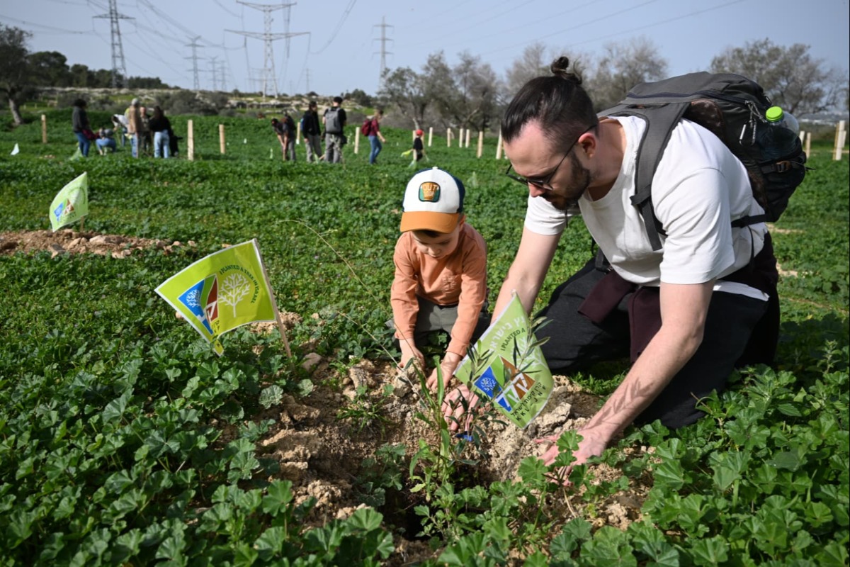 נטיעות קק"ל