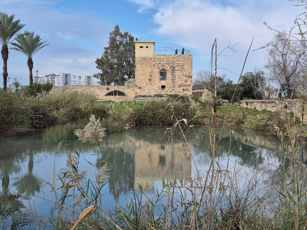 עין אפק