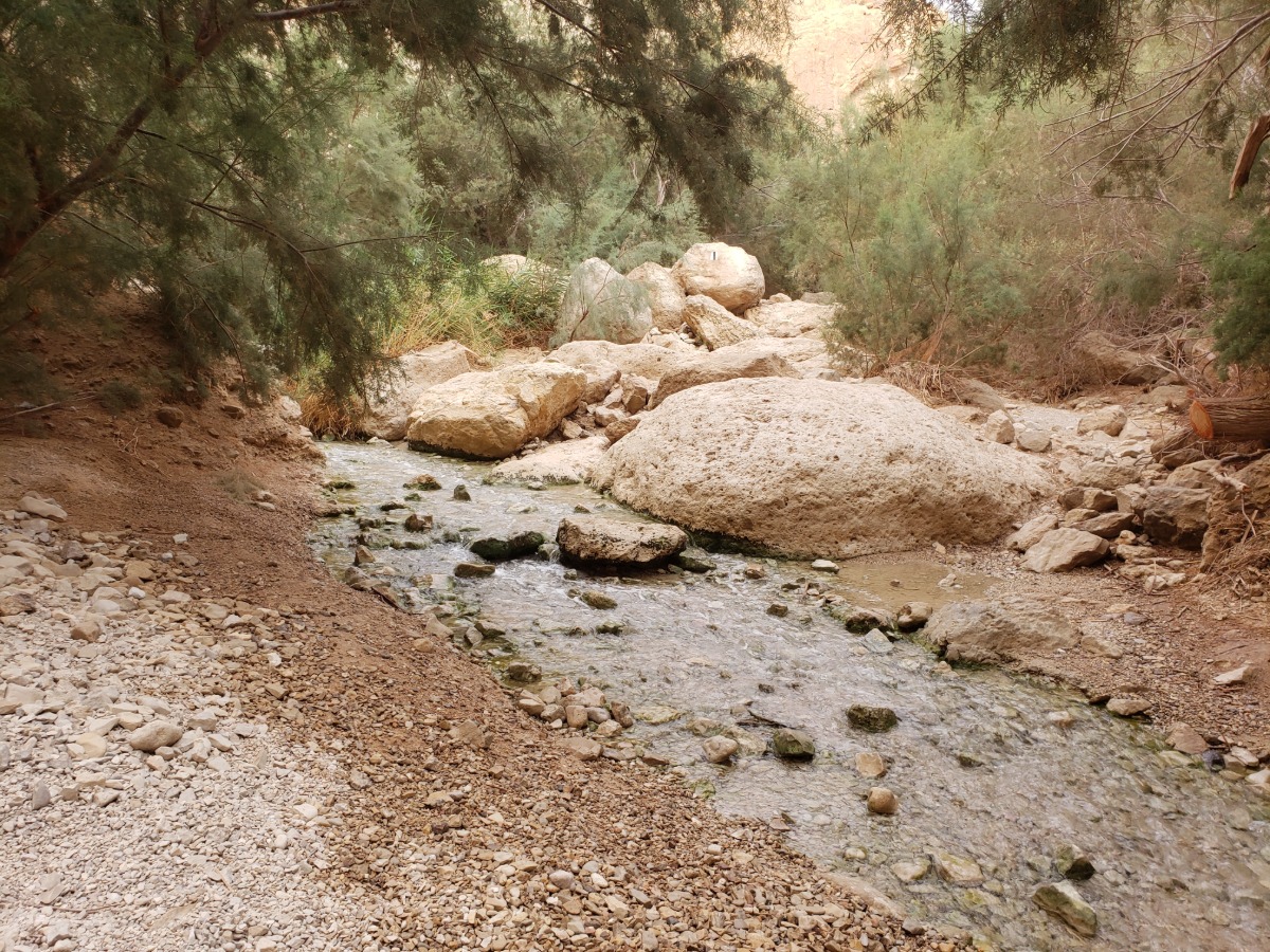 עין בוקק