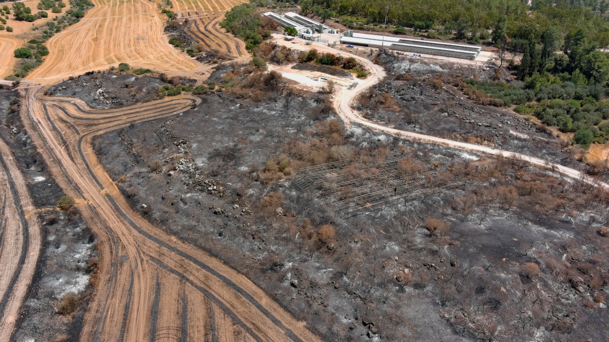 השריפה במושב תרום