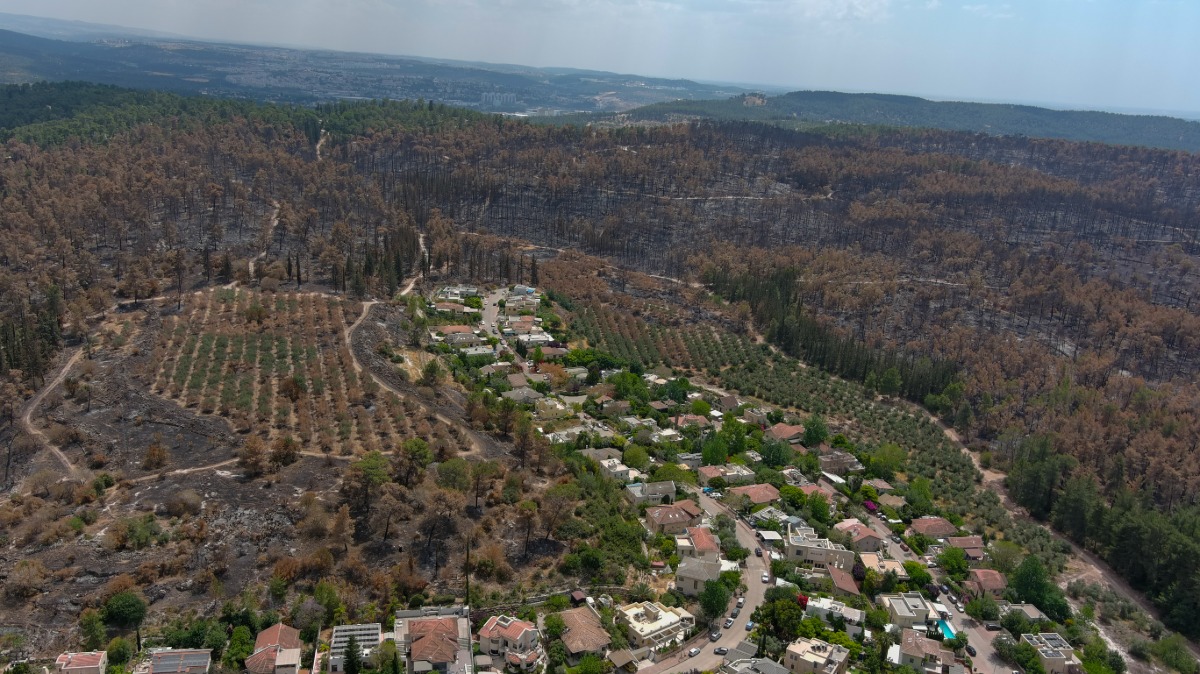 השריפה במסילת ציון