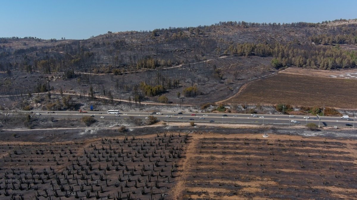 השריפות בשער הגיא