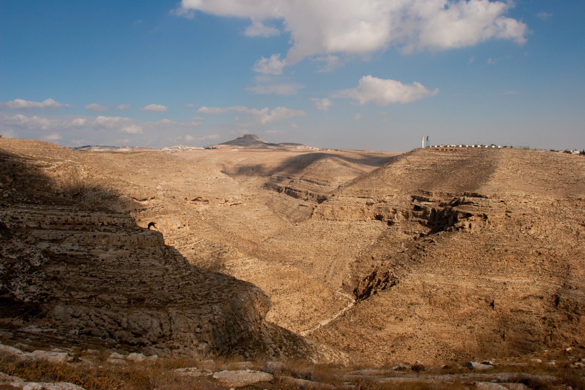 שמורת נחל תקוע