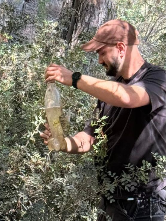 בקבוק תבערה