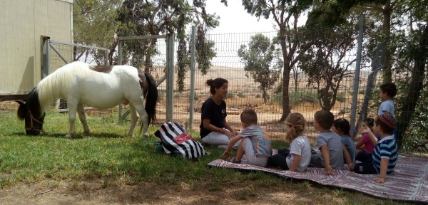 חוות הסוסים בבית יתיר