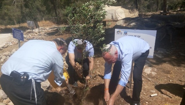 השר אריאל נוטע בגבעה לזכרם של שלושת הנערים