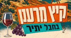 תצפית כוכבים ומטר מטאורים, פסטיבלים, פעילויות וסיורים, כנס הספר והמדבר ועוד