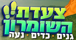ביני לנדאו בהופעה חיה בבמה המרכזית. הפעלות לילדים במהלך האירוע