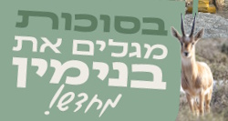 מגוון רחב של פעילויות לכל המשפחה בחול המועד סוכות