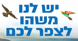 בחול המועד סוכות כולם בצפרתון של קק"ל (ללא תשלום)
