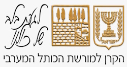כל האטרקציות הכי שוות בעיר העתיקה שאסור לכם לפספס