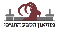 חוויה אינטראקטיבית ומרגשת המעוררת לחיים את הטקסטים המקראיים