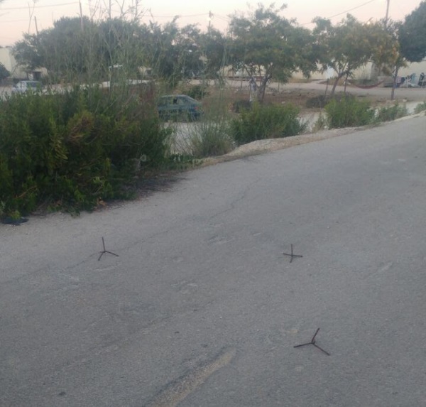 הדוקרנים בכניסה ליצהר