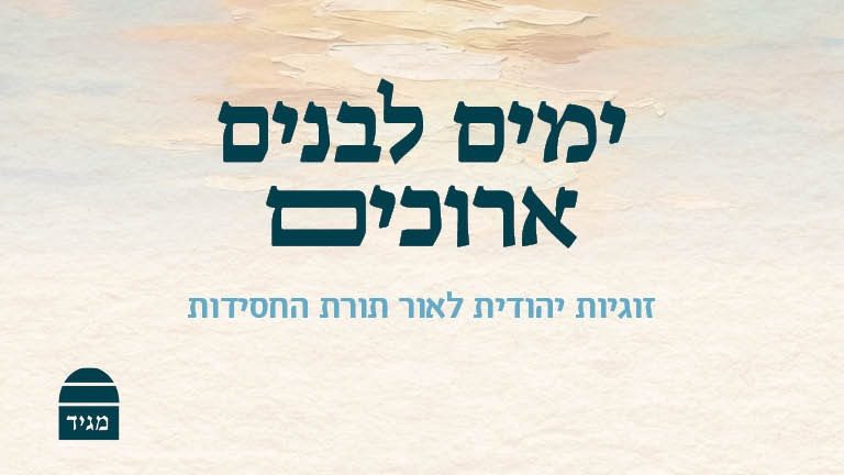 כריכת הספר |