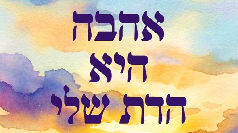 כריכת הספר |