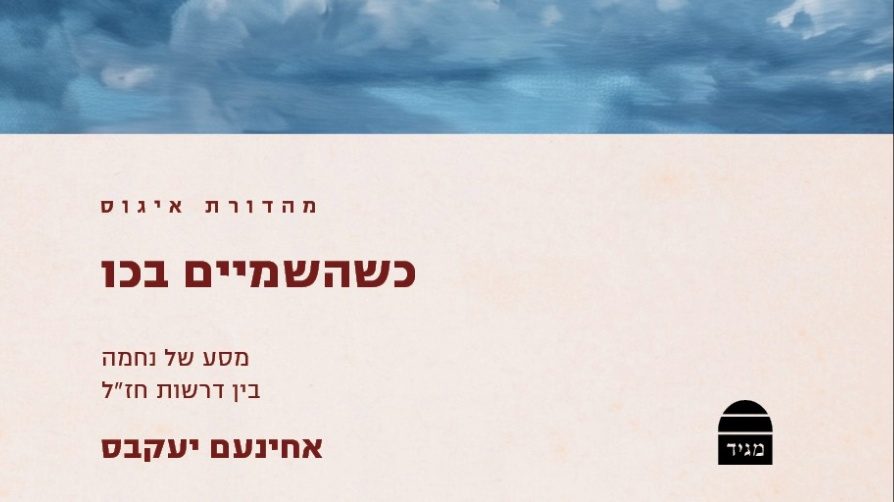 כריכת הספר |