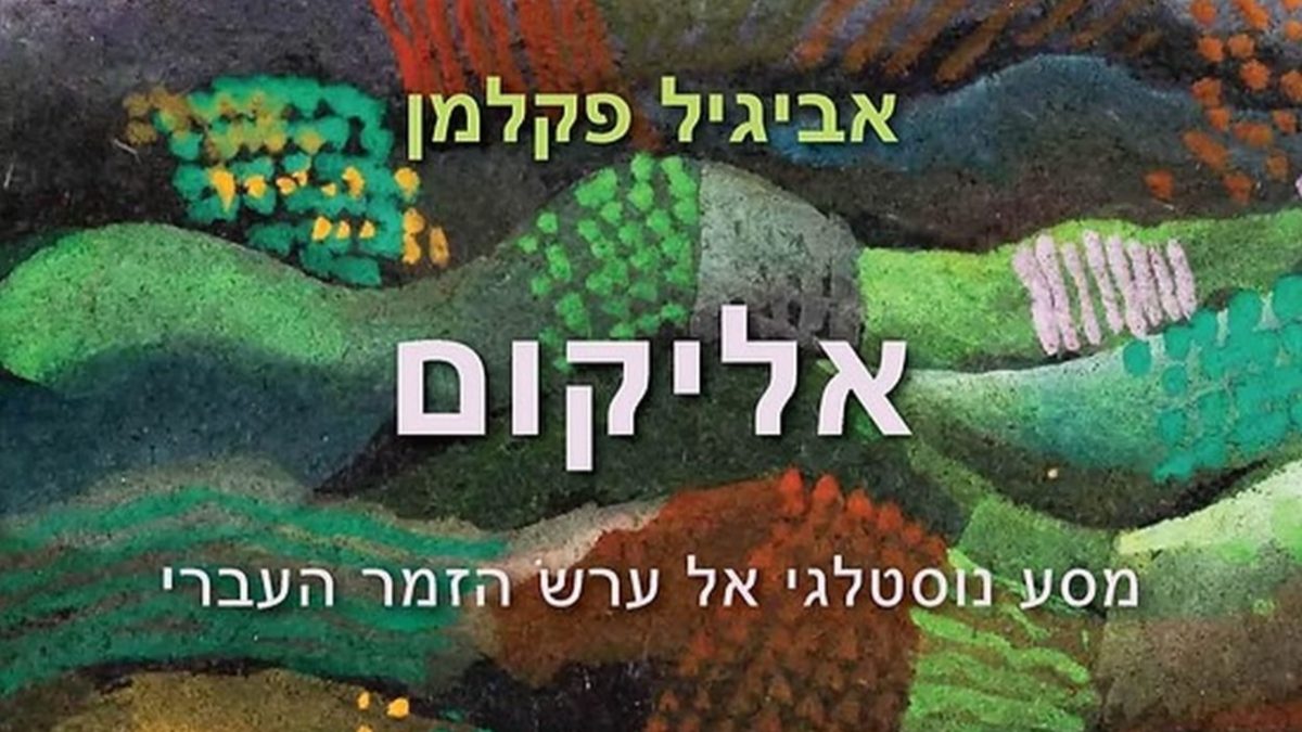כריכת הספר