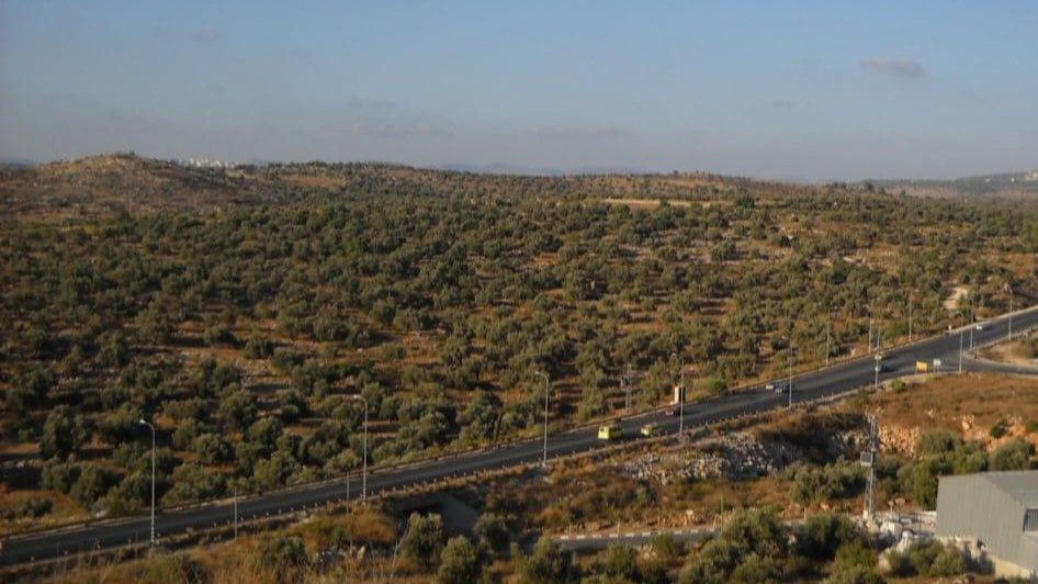כביש 55
