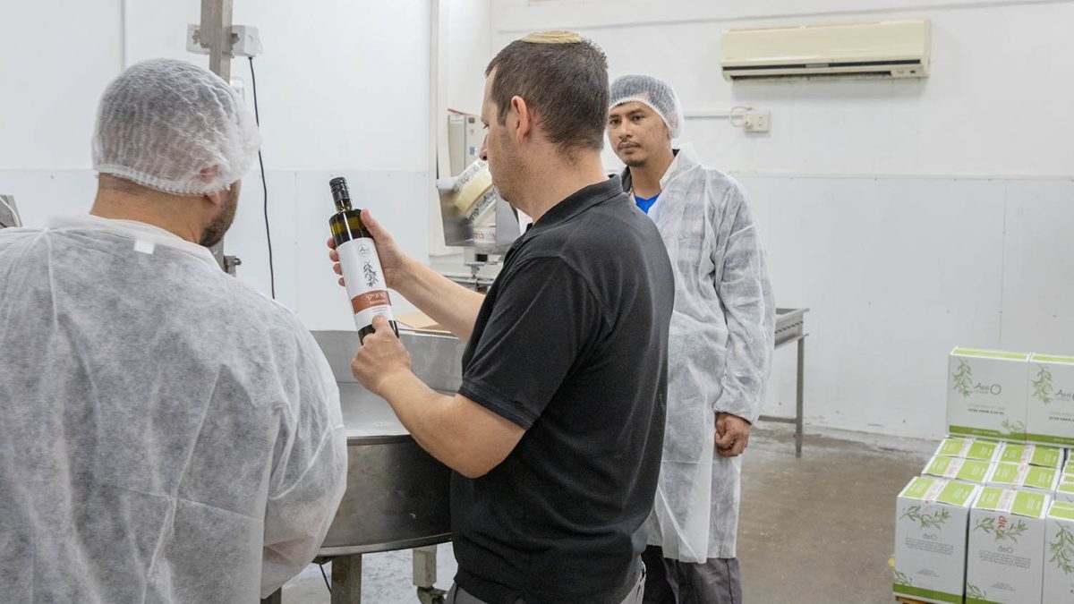 שמן זית 'אסי' עמק המעיינות