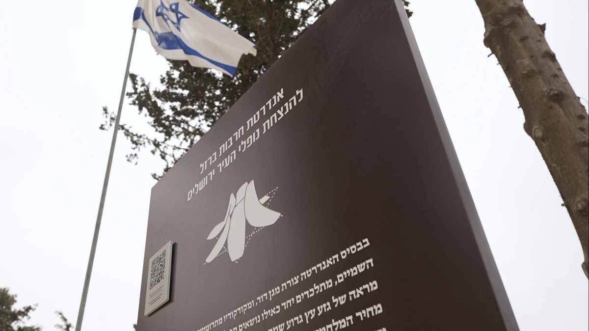 פרויקט מיוחד