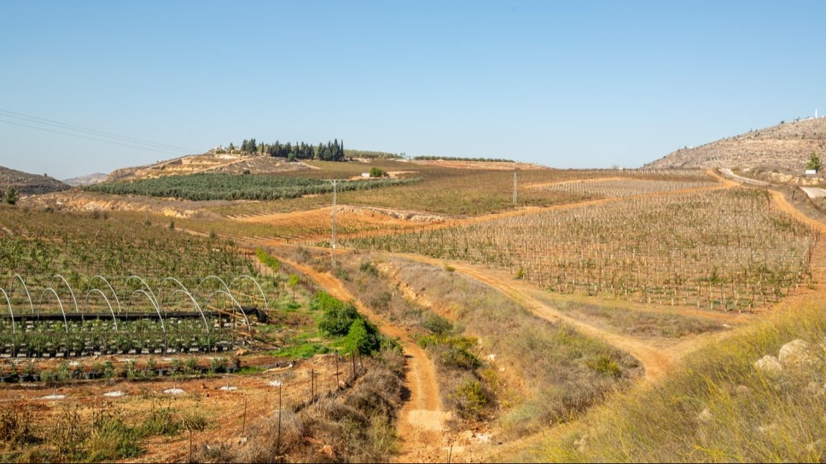 בעת הראל, שהוקמה לפני 28 שנים, תיקרא 'כרמי עוז'