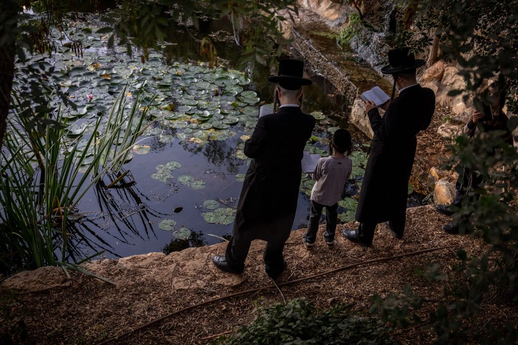 תשליך בגן הורדים