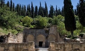 דורון ניסים, באדיבות רשות הטבע והגנים צילום: דורון ניסים, באדיבות רשות הטבע והגנים חינוך