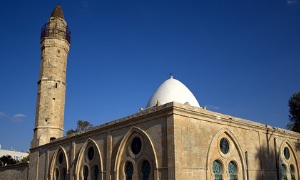 אילוסטרציה david_shankbone-cc-by צילום: אילוסטרציה david_shankbone-cc-by חדשות