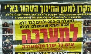 Hanan Cohen-cc-by-sa צילום: Hanan Cohen-cc-by-sa חדשות