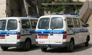 hoyasmeg-cc-by צילום: hoyasmeg-cc-by חדשות
