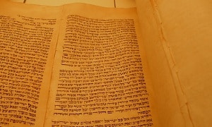 quinet-cc-by-sa צילום: quinet-cc-by-sa פרשת חקת