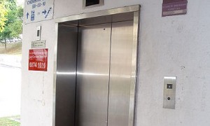 david צילום: david חדשות