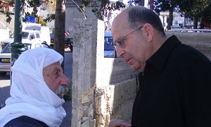 יסמין, ויקיפדיה העברית צילום: יסמין, ויקיפדיה העברית פרשיות השבוע