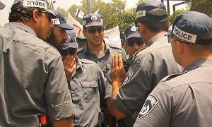 energidi, ויקיפדיה העברית צילום: energidi, ויקיפדיה העברית חדשות
