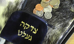 Chesdovi-cc-by-sa צילום: Chesdovi-cc-by-sa חדשות