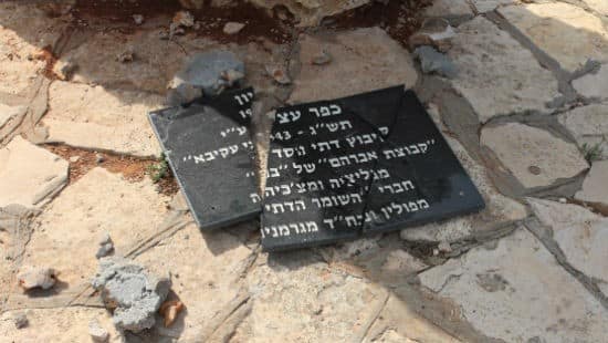 דוברות צילום: דוברות חדשות