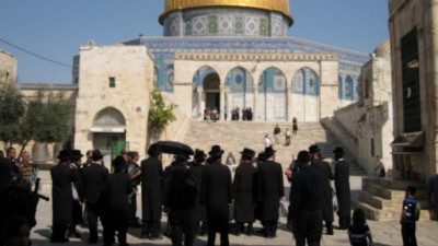  חדשות