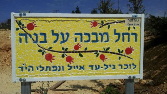 דוברות צילום: דוברות חדשות