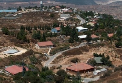מיכאלי, ויקיפדיה העברית צילום: מיכאלי, ויקיפדיה העברית חדשות