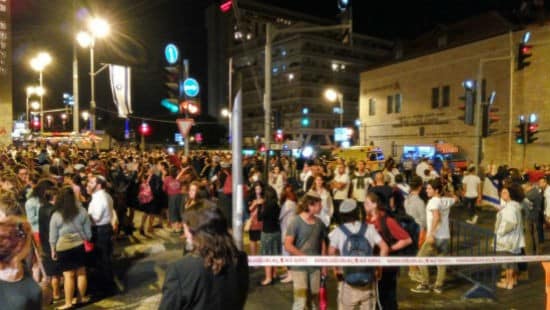 דוברות צילום: דוברות חדשות