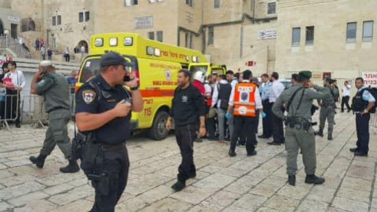 אברהם צמח ואורי דייויס - סוכנות הידיעות חדשות 24 צילום: אברהם צמח ואורי דייויס - סוכנות הידיעות חדשות 24 חדשות