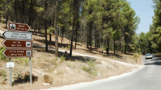 דוברות המשרד לשירותי דת צילום: דוברות המשרד לשירותי דת טיולים