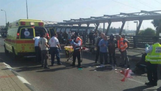 דוברות מד"א צילום: דוברות מד"א חדשות