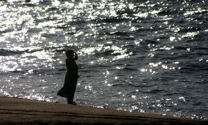 makani5-cc-by צילום: makani5-cc-by פרשת בשלח