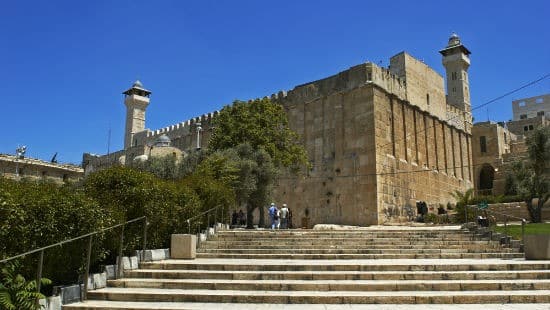Shutterstock צילום: Shutterstock חדשות