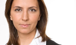 אתר הכנסת צילום: אתר הכנסת חדשות